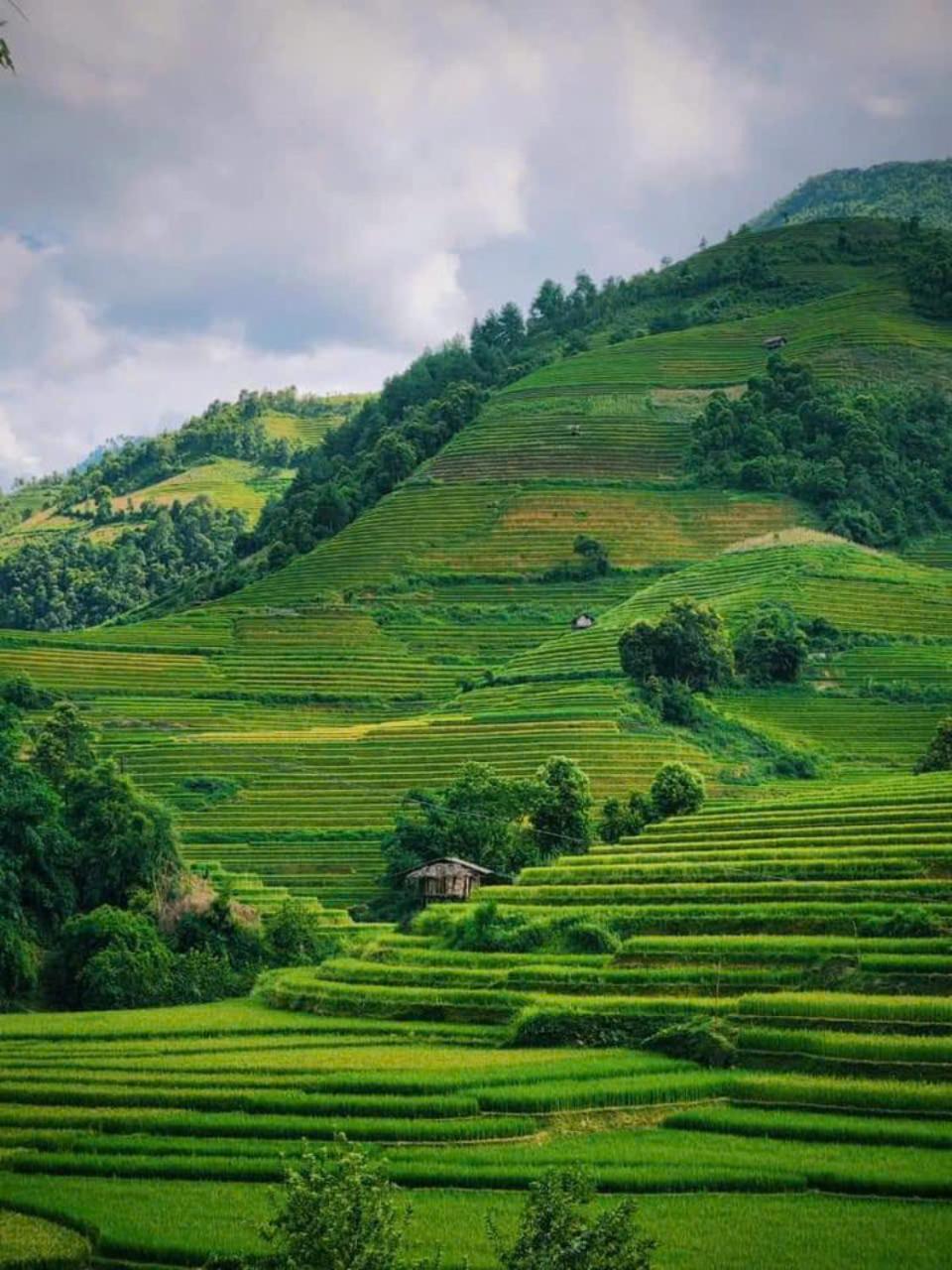 Mu Cang Chai Eco Home Eksteriør bilde